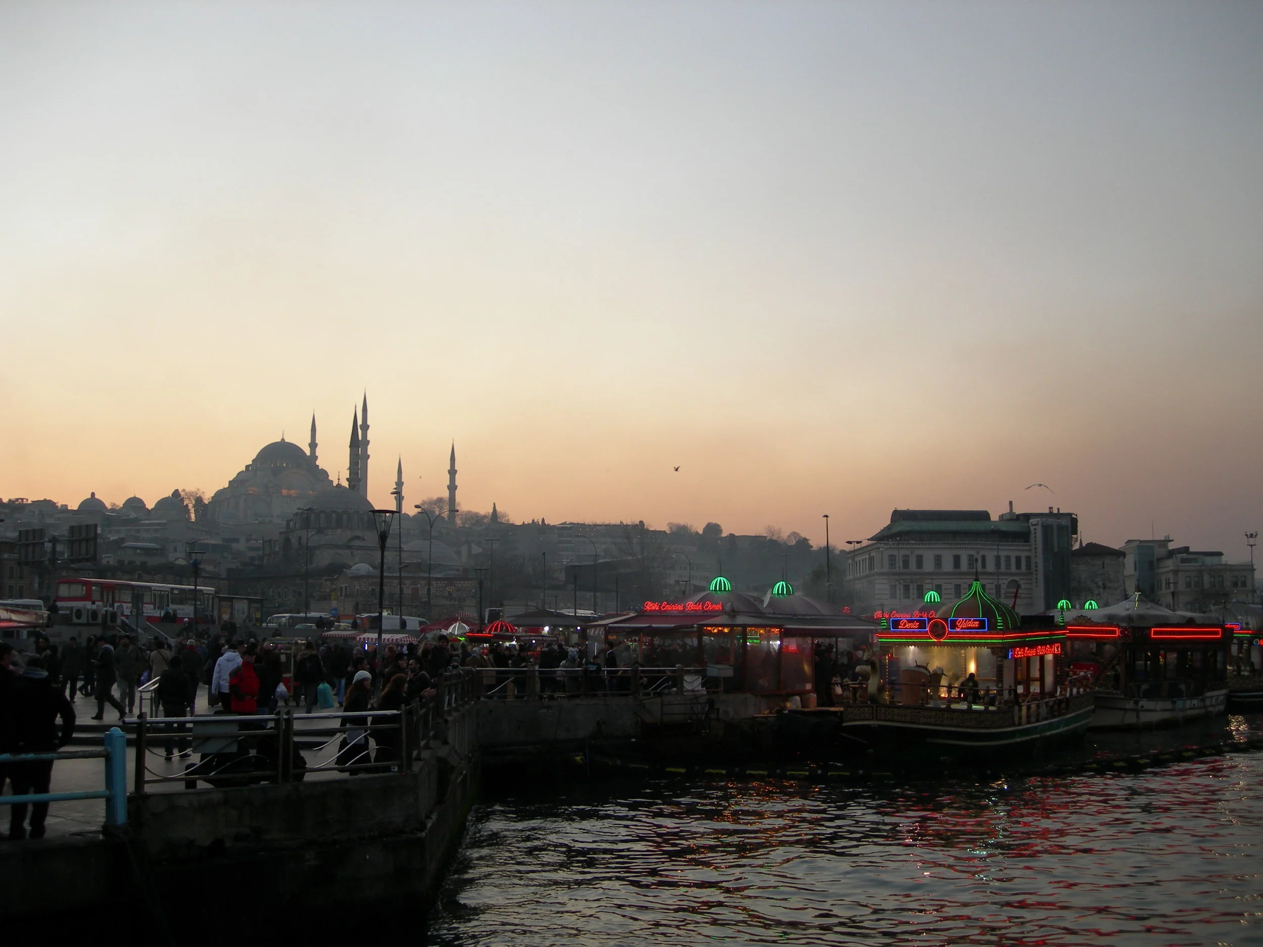 DSCN7931.JPG