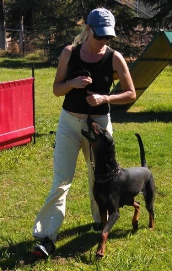 About Ipo Schutzhund Placer County Schutzhund Club
