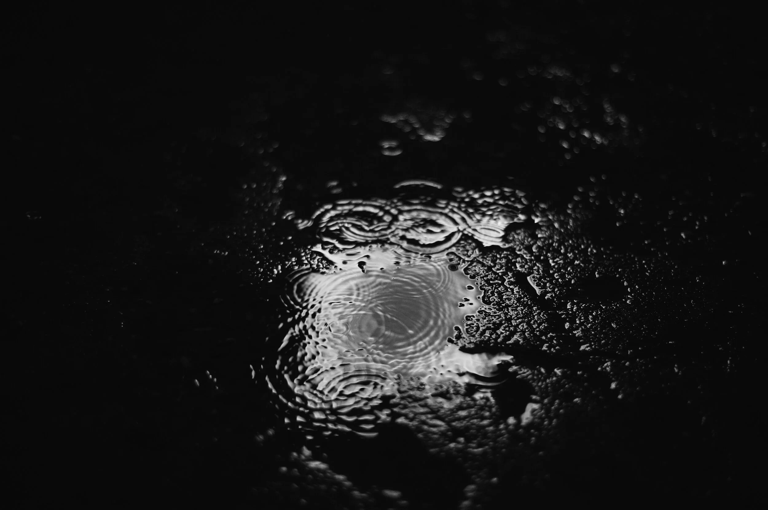 BLACK_@LARUFOTO_LUISRUIZ_0027.jpg