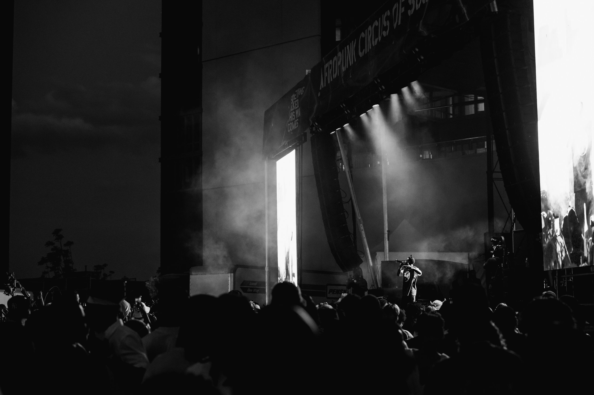 AFROPUNK_PHOTOBY@LARUFOTO_LUISRUIZ_0021.jpg