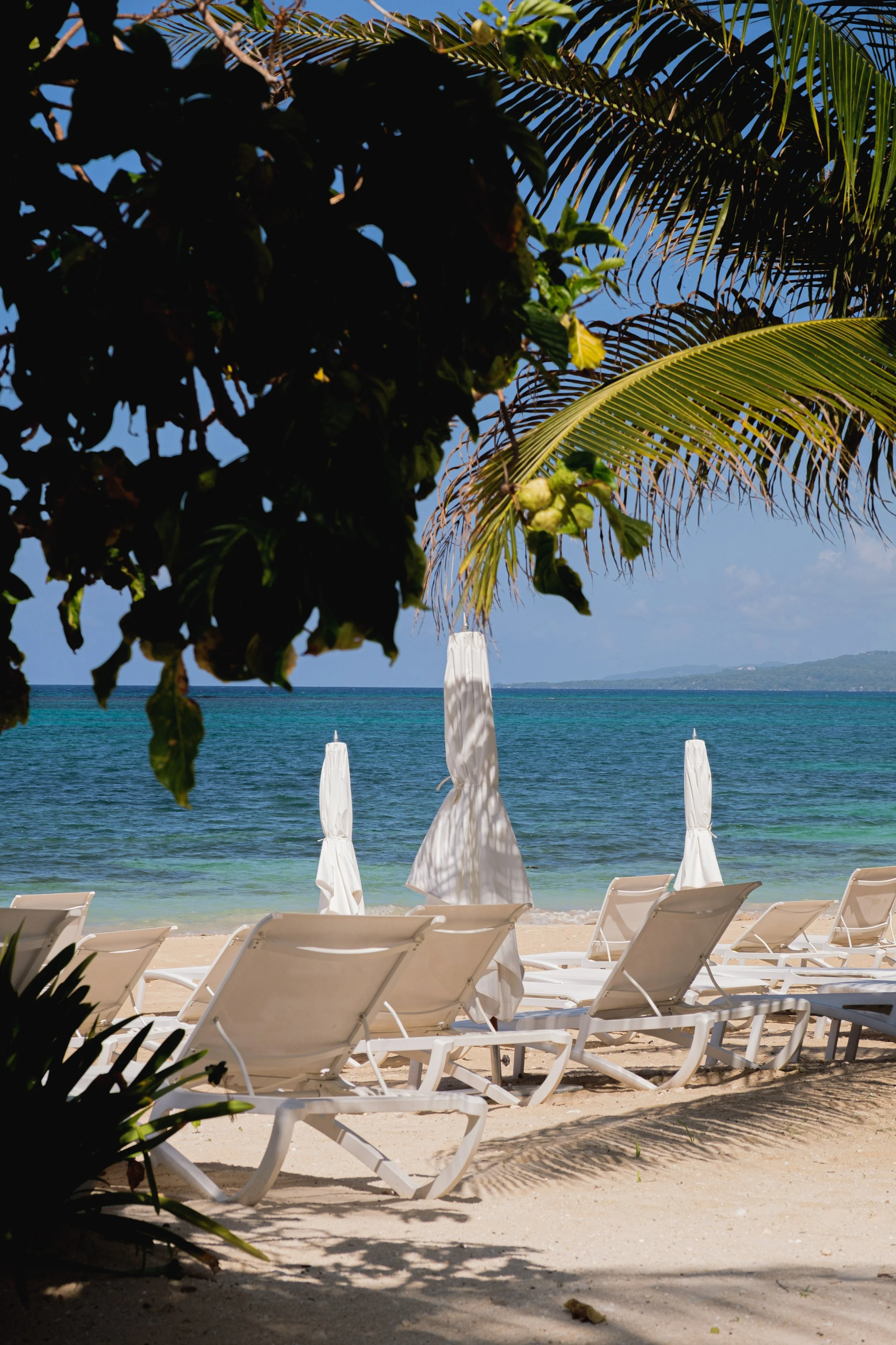 JAMAICA2025__PHOTOBY@LARUFOTOLUISRUIZ__0000041.jpg