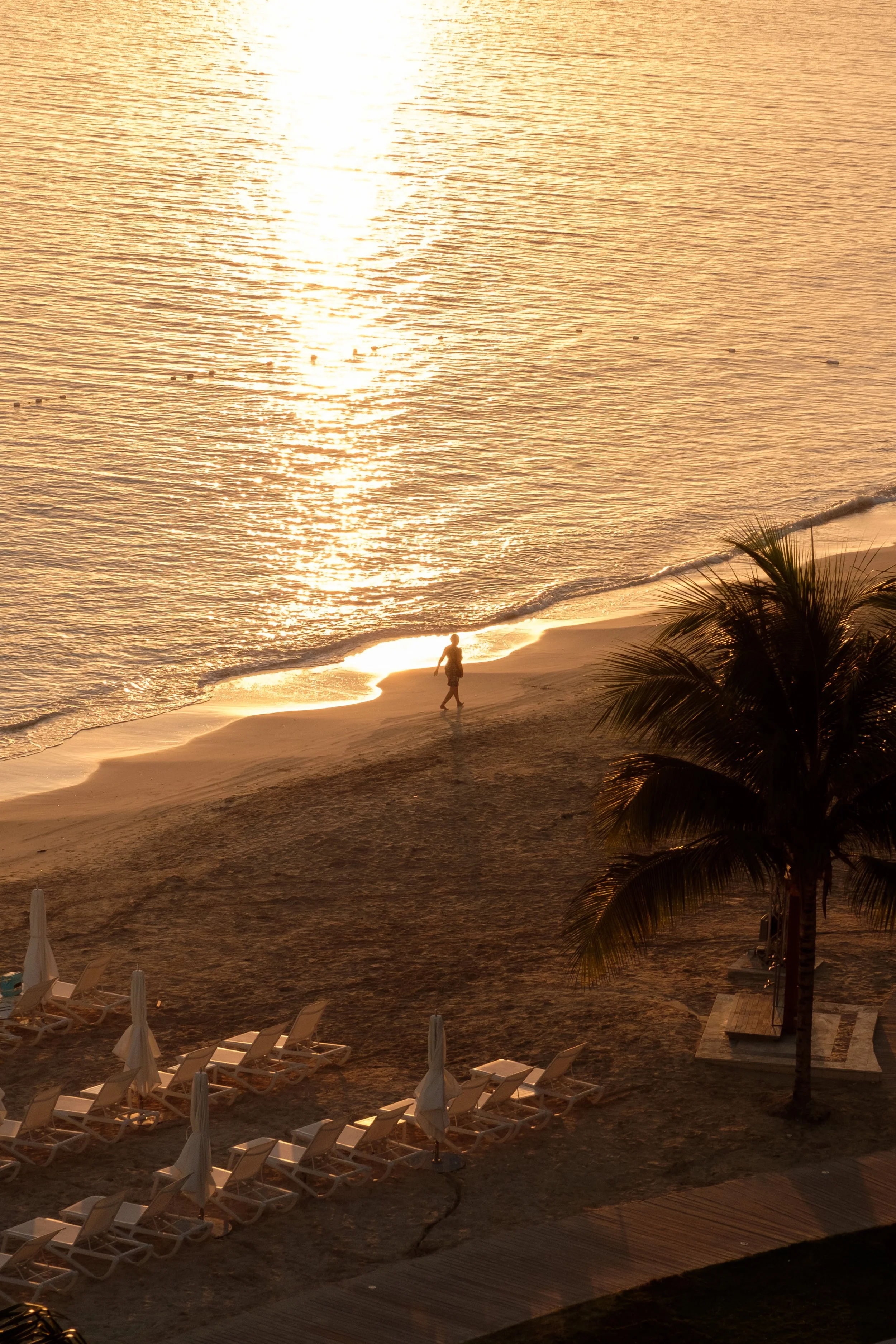 JAMAICA2025__PHOTOBY@LARUFOTOLUISRUIZ__0000105.jpg