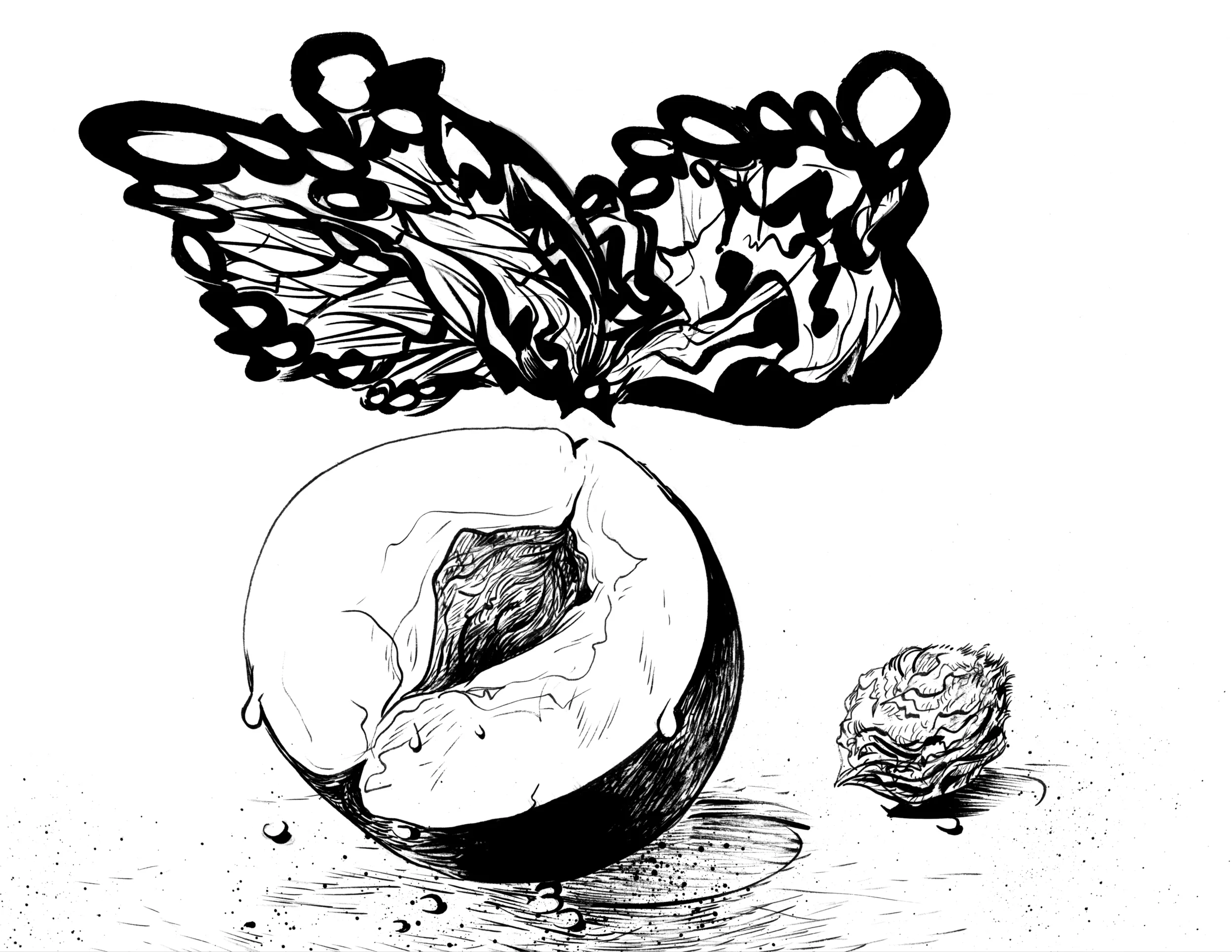 36.peachbutterfly.jpg