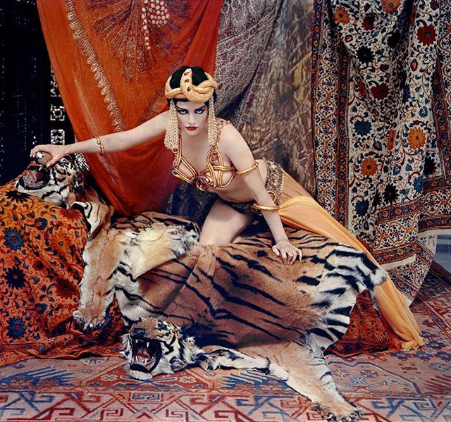 Richard Avedon/1957 MM as Theda Bara #life #tiger #orientalism #gerome