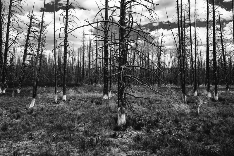 DSCF5560.jpg