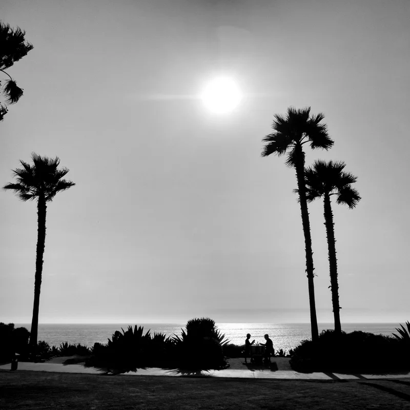 DSCF4105.jpg