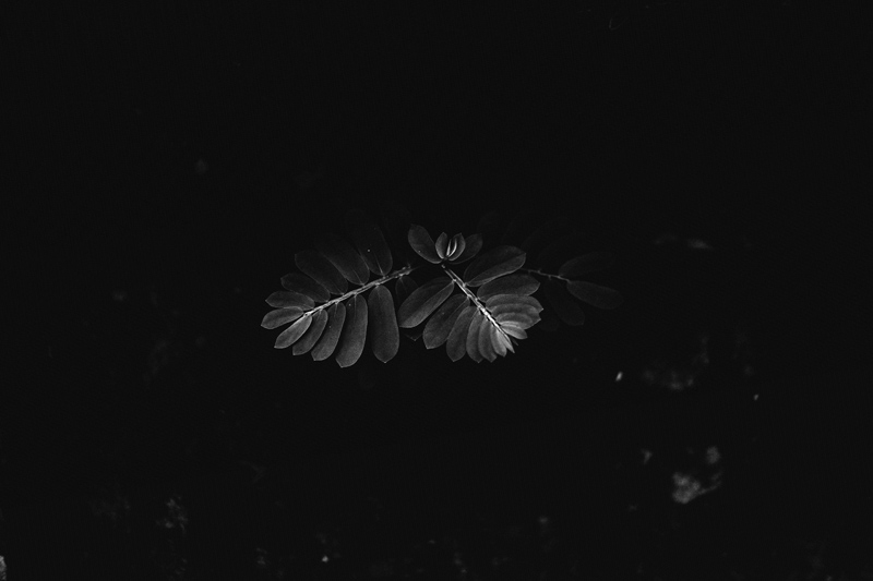 DSCF1664.jpg