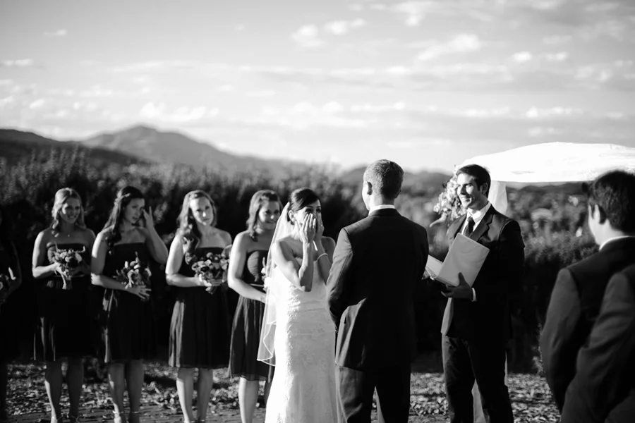 ssp_daviswed_340.jpg