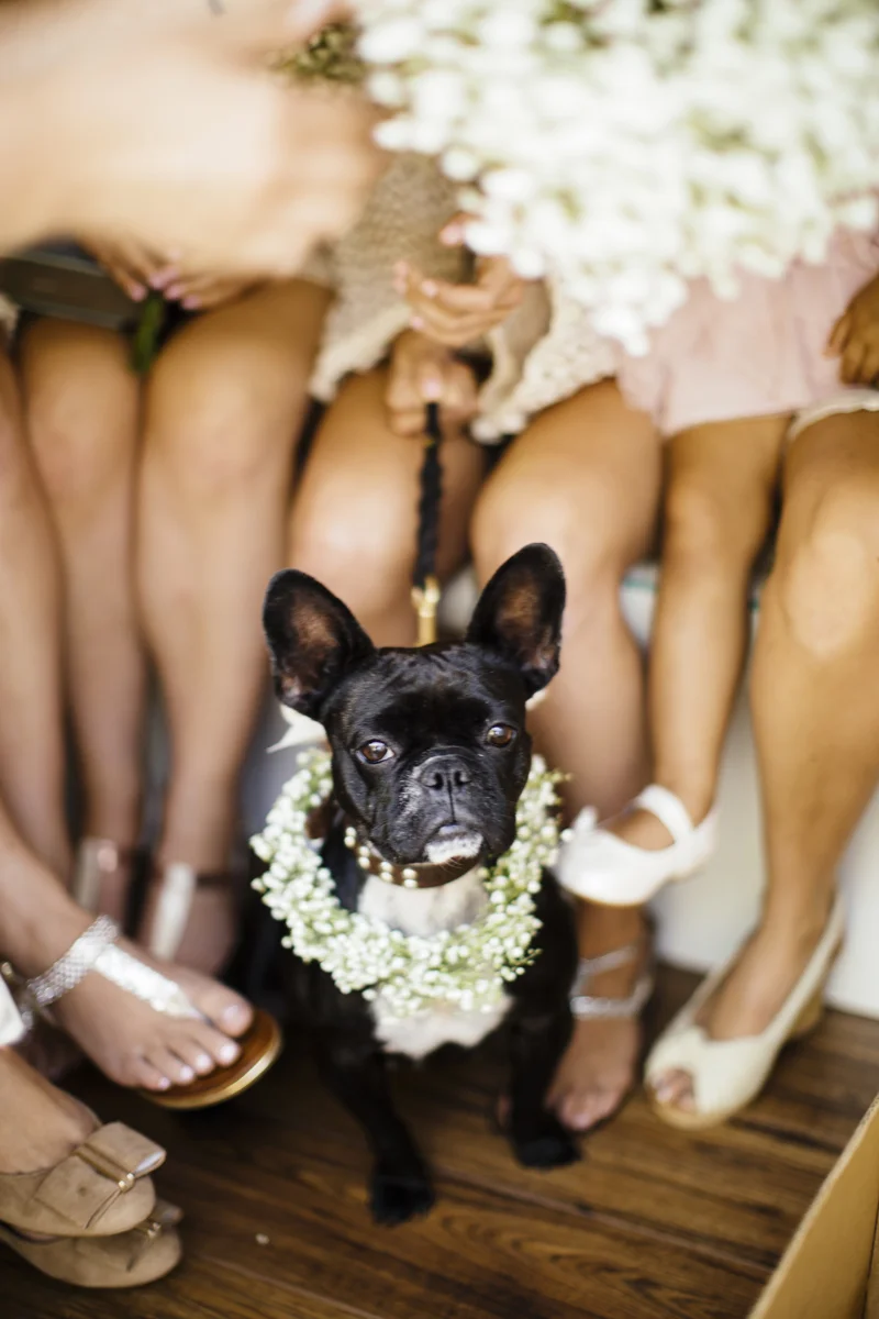 ssp_lebelwed_267.jpg