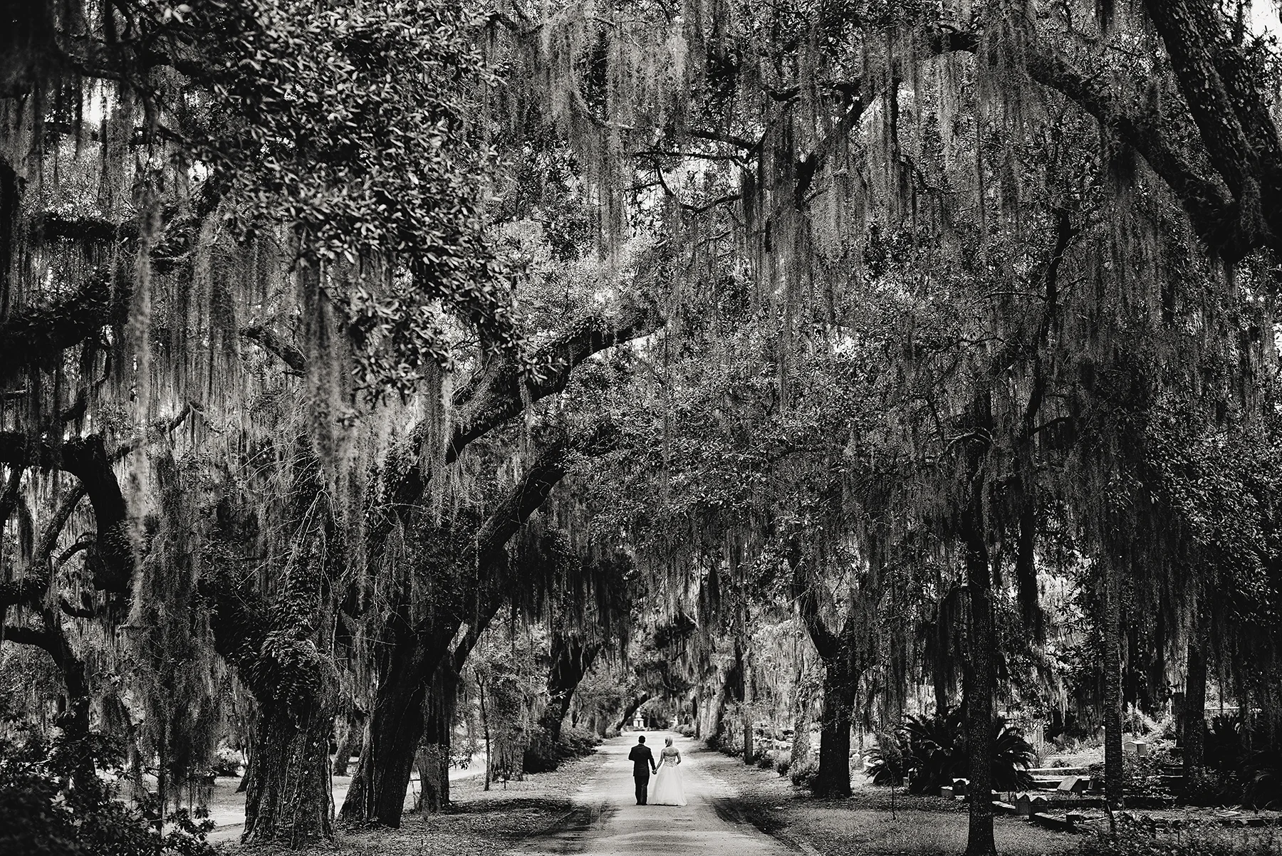 savannah2.jpg