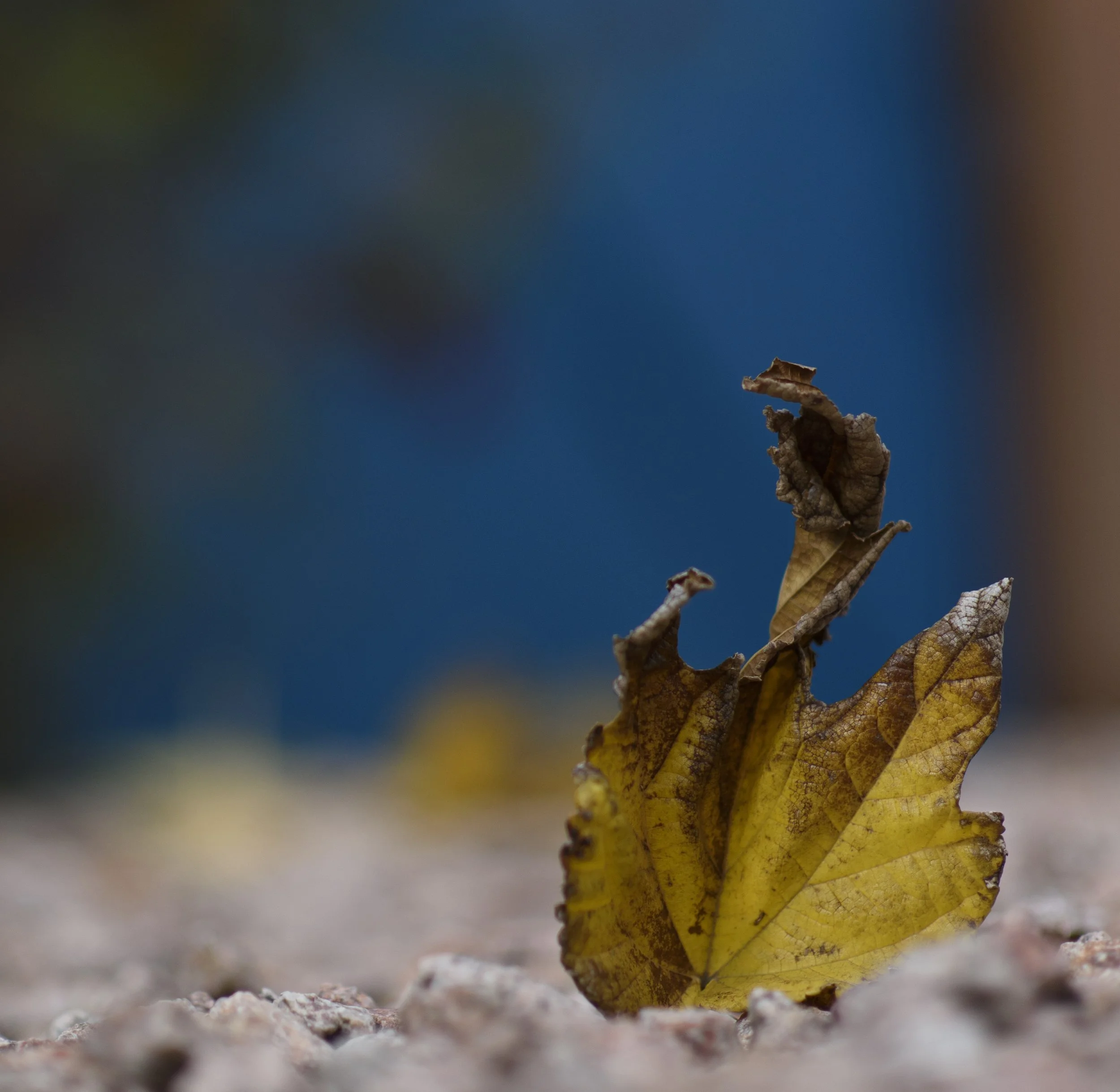 20221231_color_T 9747.jpg