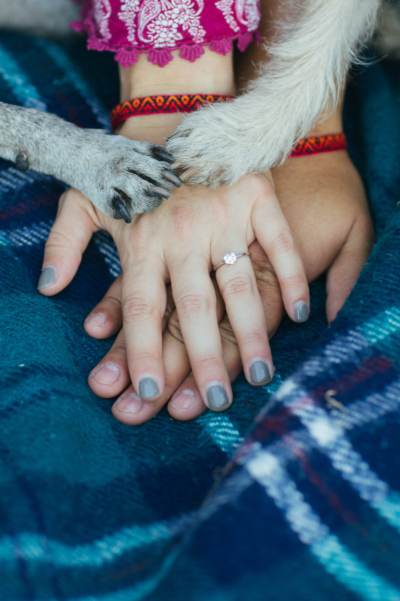 uc-davis-engagement-session-dog-photographer-15.jpg