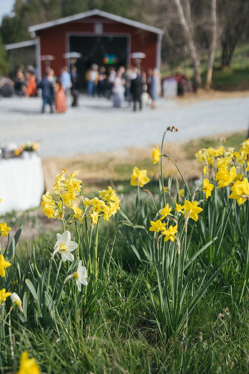 quail-berry-ranch-wedding-venue-california-26.jpg