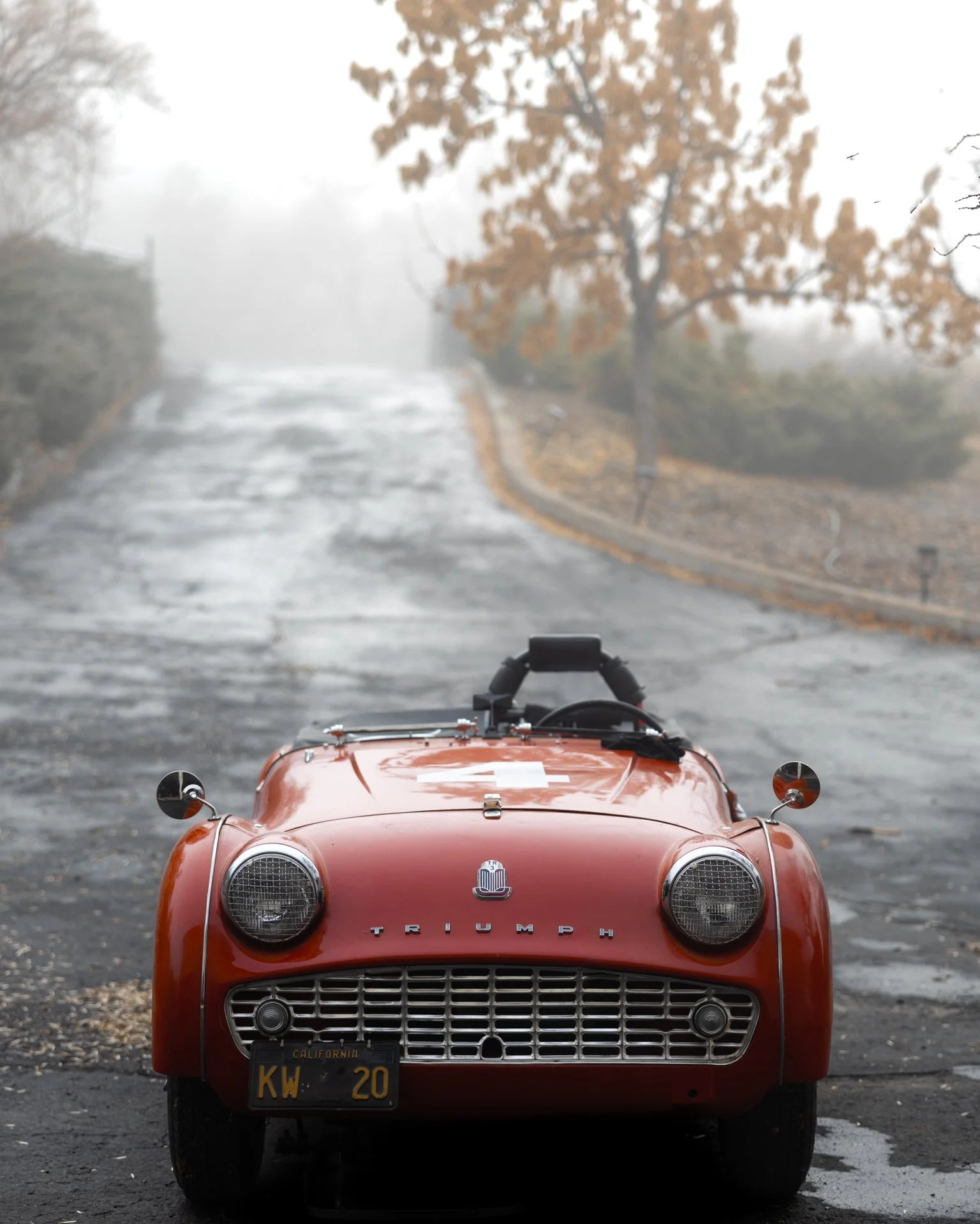 Foggy morning