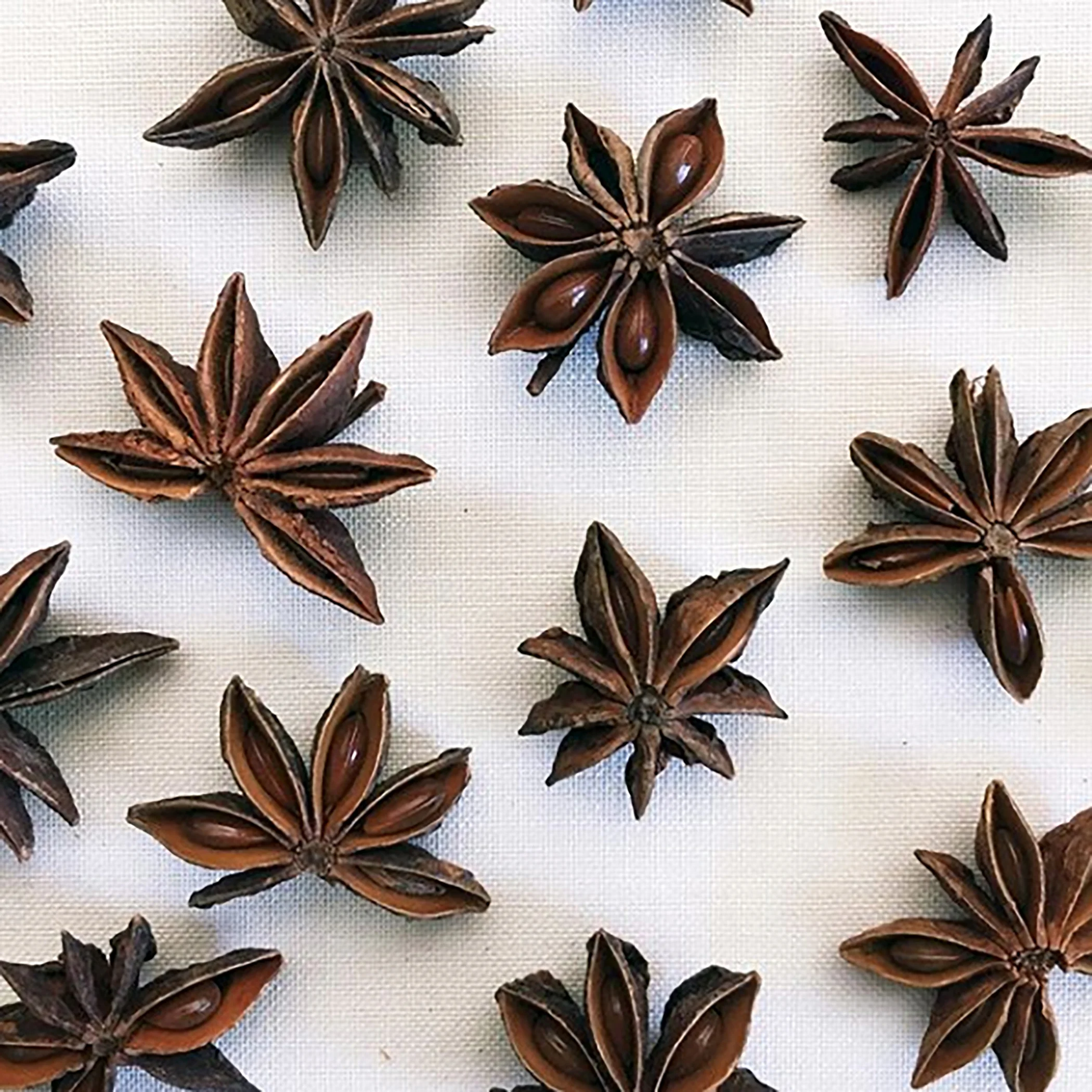 star anise copy copy.jpg