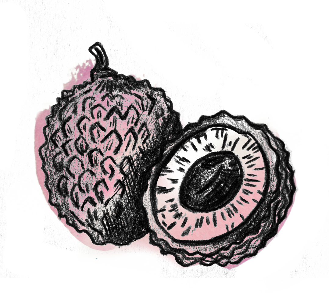 Lychee_Watercolor.png