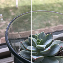 Before &amp; After: Edit Your Phone Photos Like a Pro