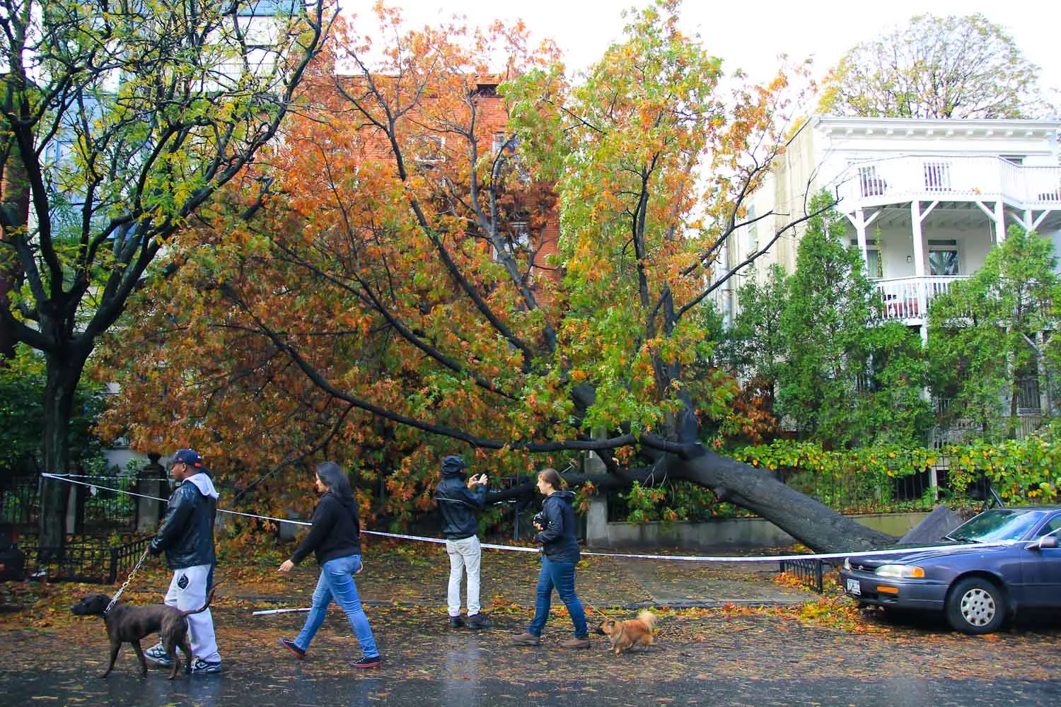 brodo_007_121030-28.jpg