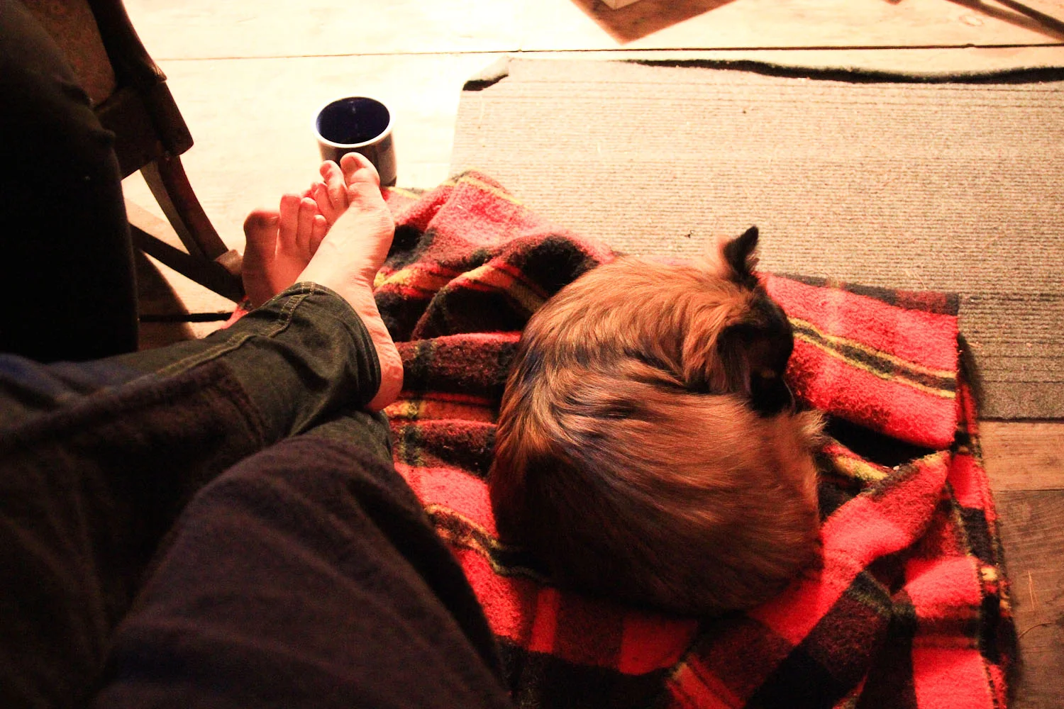 brodo_untitled shoot_010_121209-5.jpg