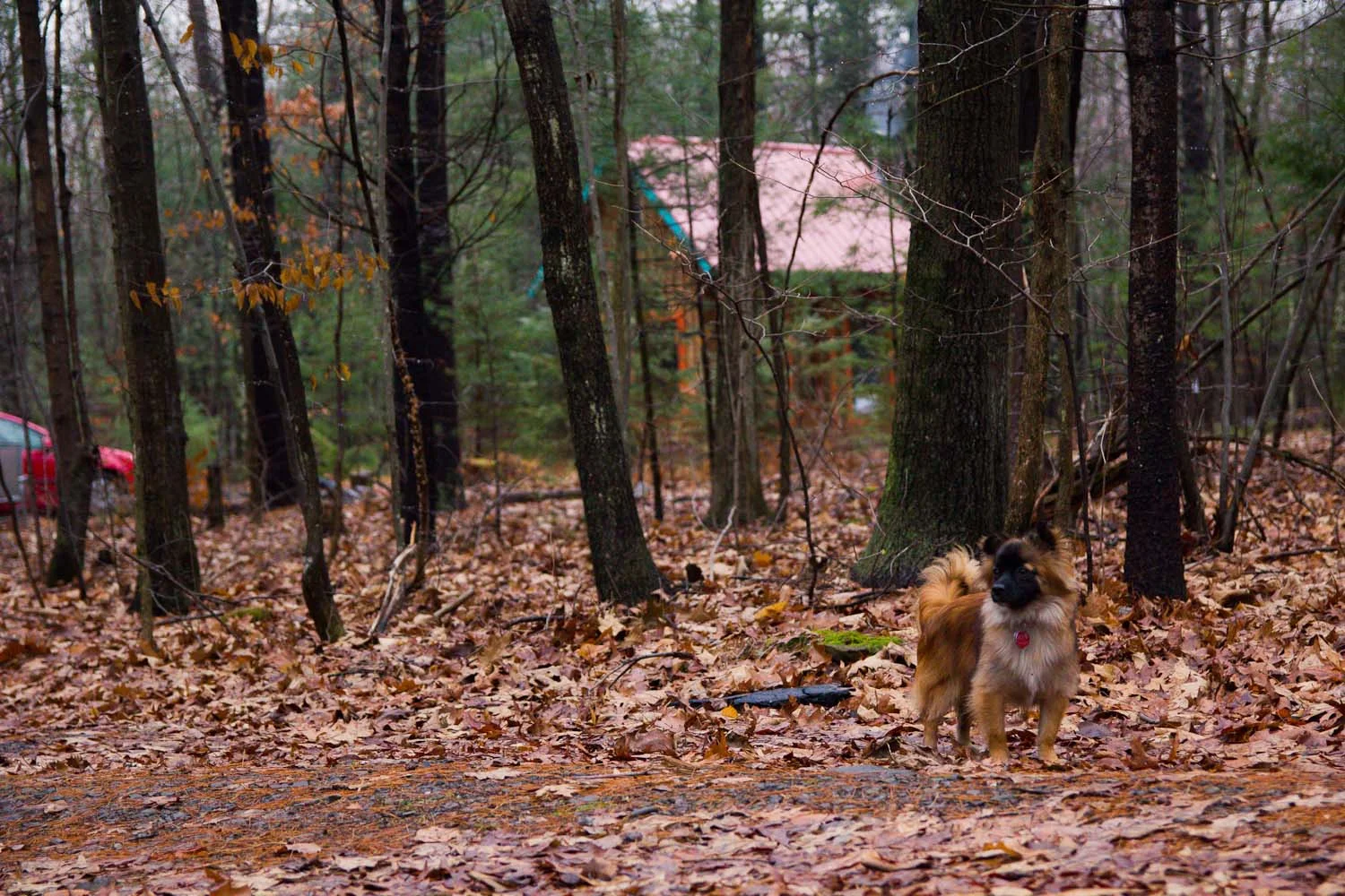brodo_untitled shoot_010_121210-33.jpg