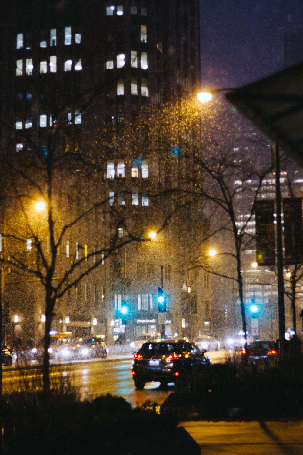 chicago__054.jpg