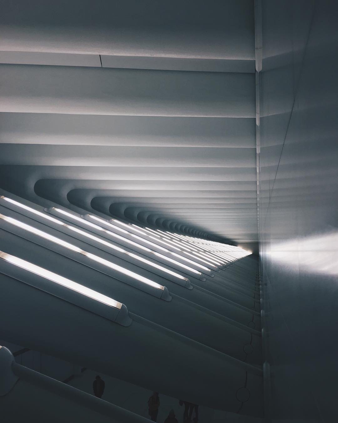 Inside_the_Oculus__oculus__worldtradecenter__vscocam__fieldseries.jpg