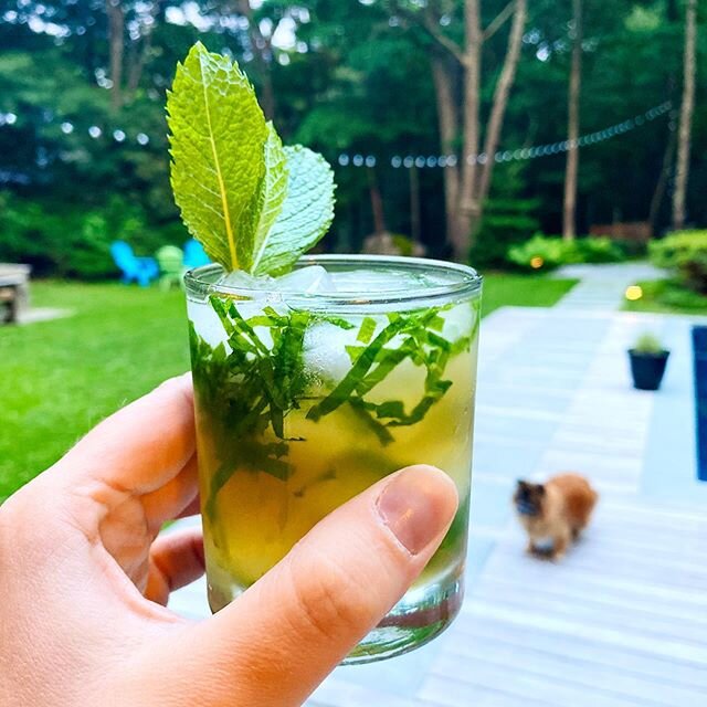 Mint juleps by @clarajoybunker