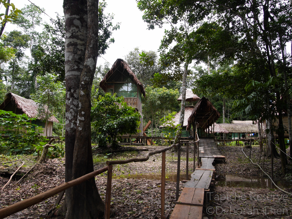 Entering the Lodge