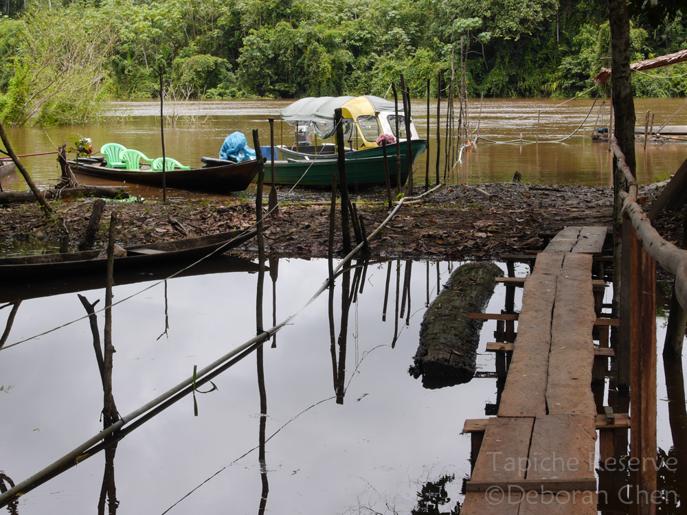 Boats for activities and transfers