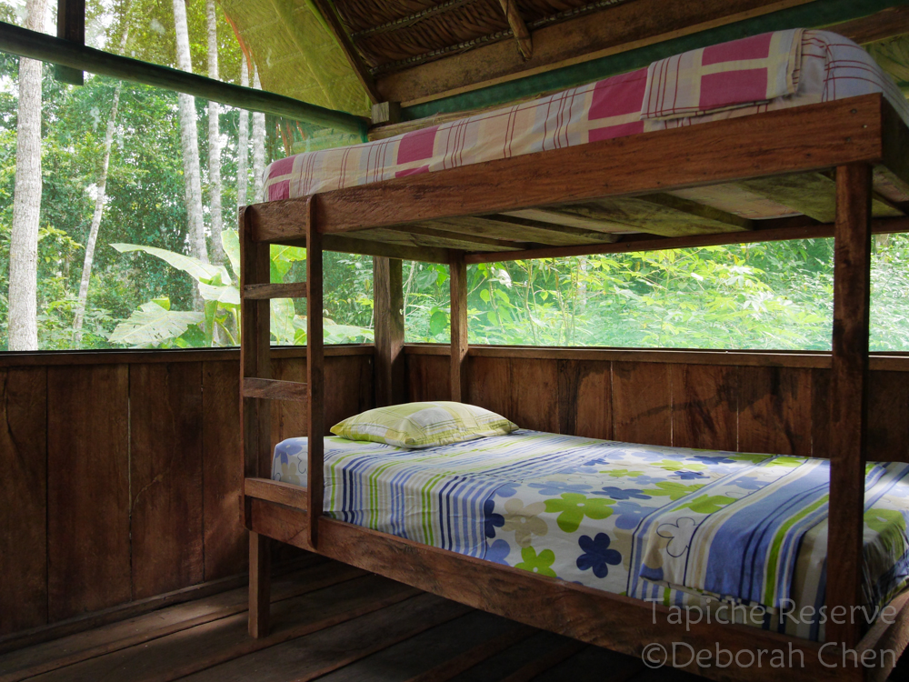 Interior of cabin with bunk beds