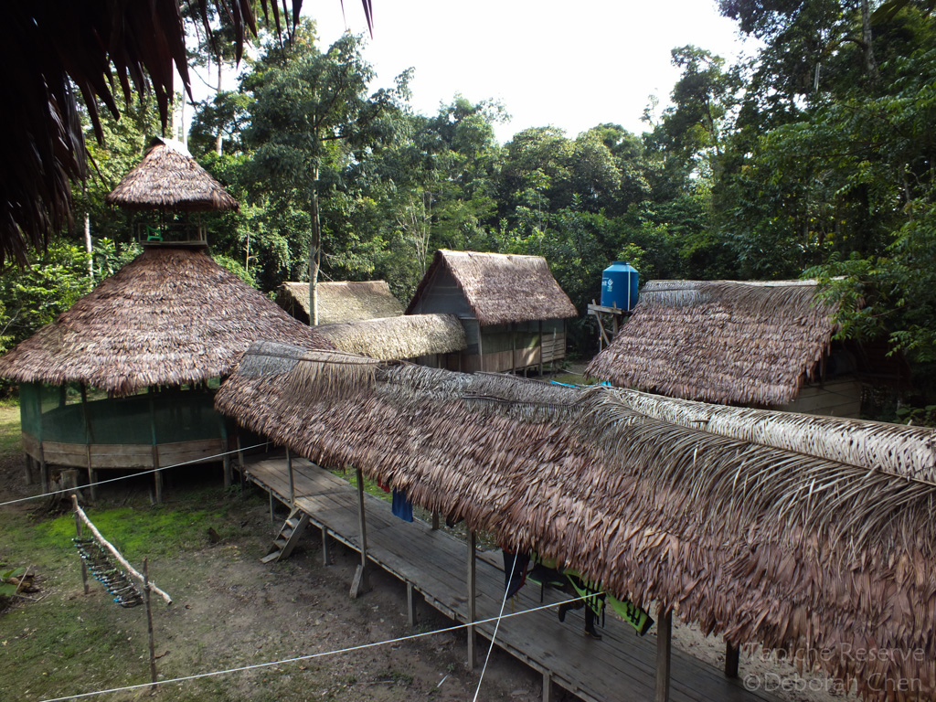 Handcrafted Irapay palm leaf roofing