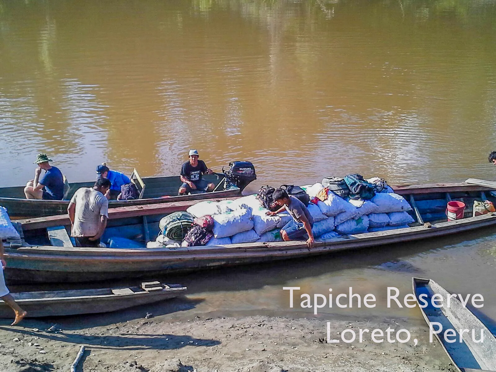 Aguaje fruits loaded onto the boat at the Tapiche Reserve, ready to go to market in Iquitos