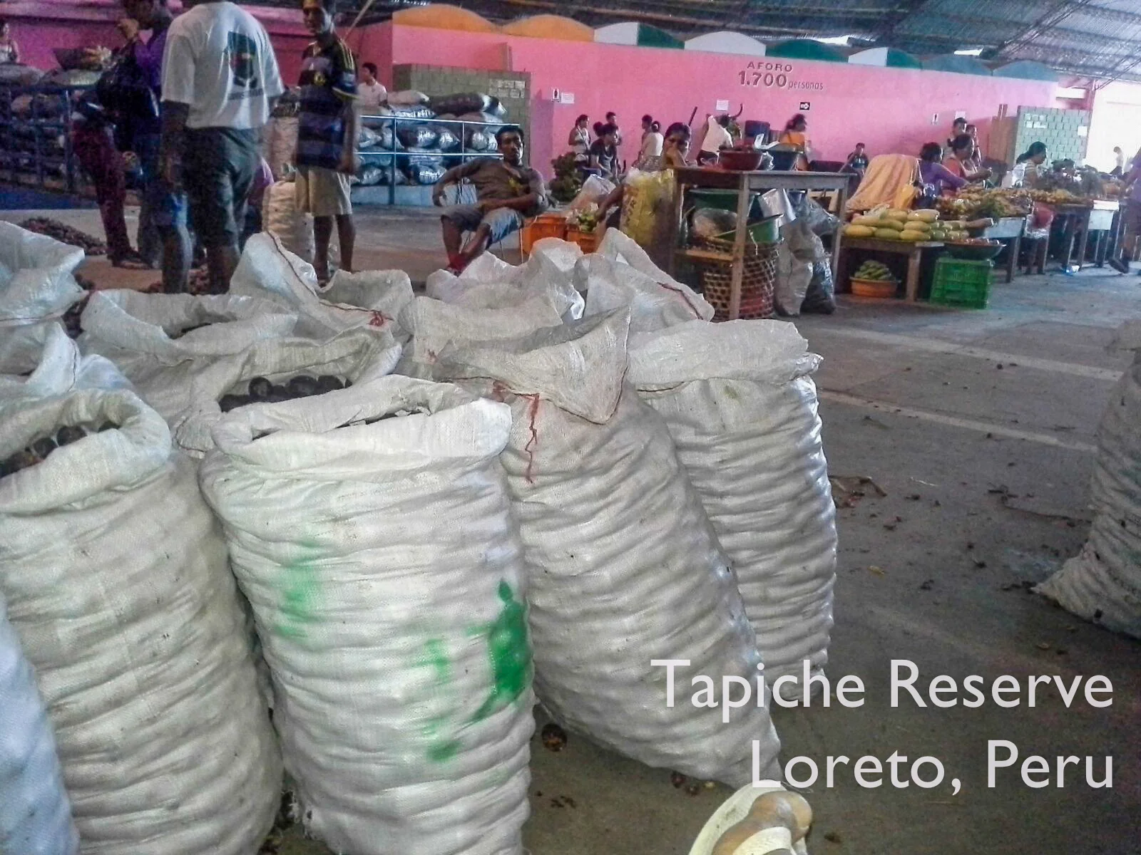 Aguaje fruits sustainably harvested from Tapiche Reserve being sold at the Mercado de Productores in Iquitos, Peru
