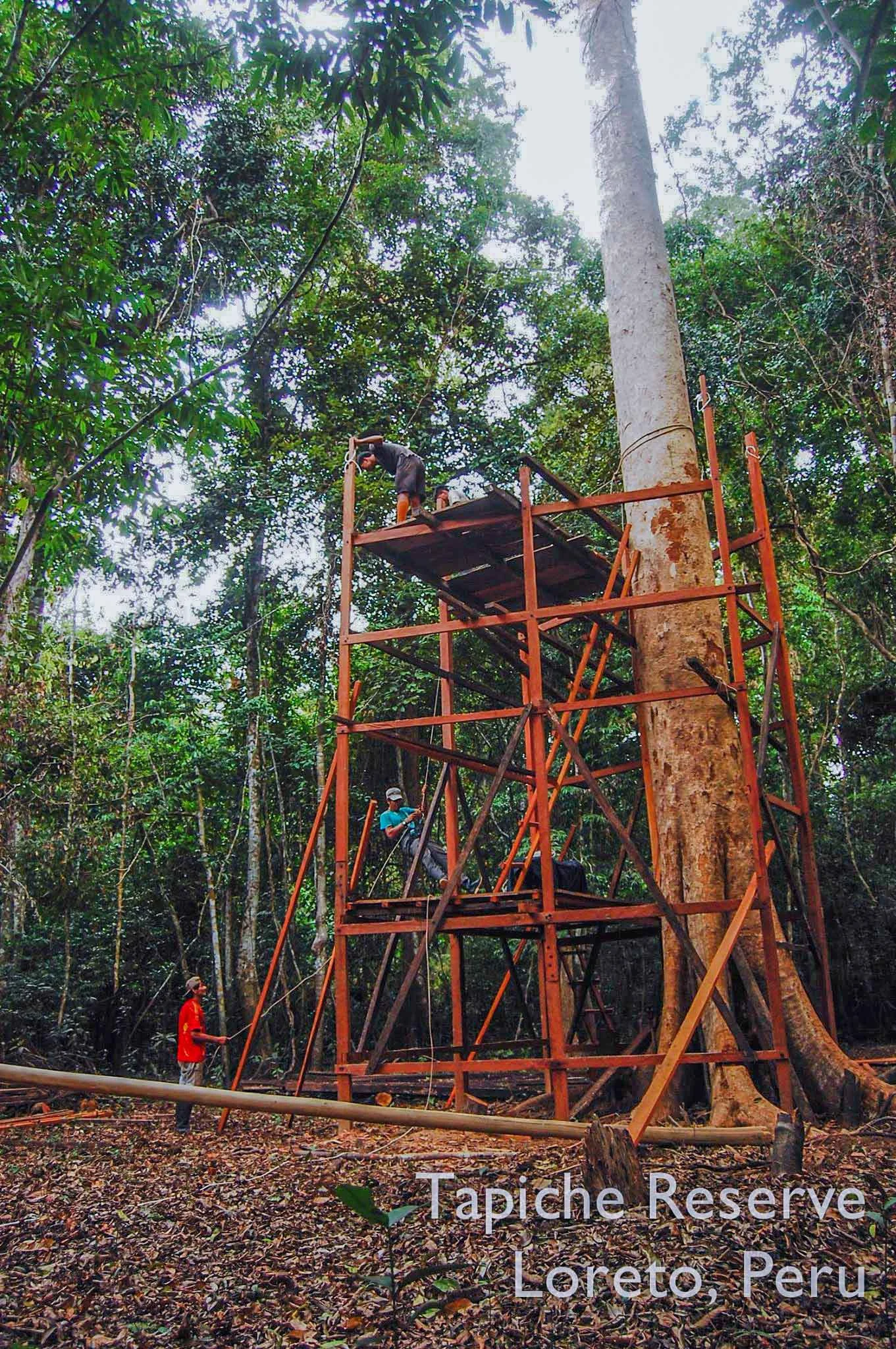 Tapiche-Amazon-Jungle-Tour-Peru-canopy-observation-tower-4.jpg
