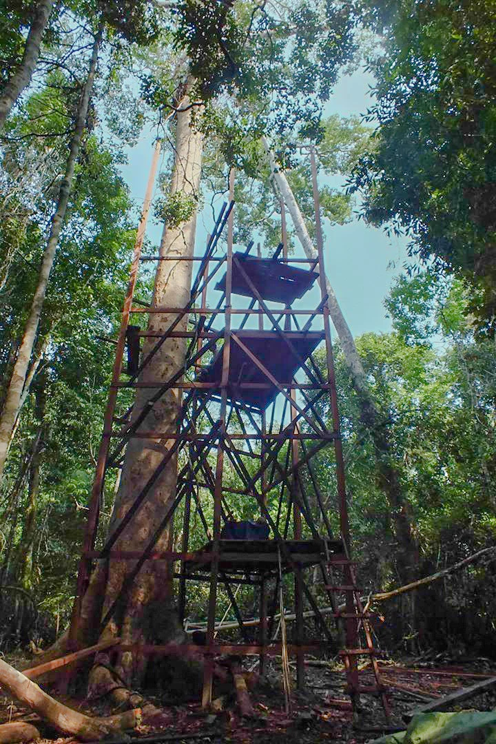 Tapiche-Amazon-Jungle-Tour-Peru-canopy-observation-tower-6.jpg