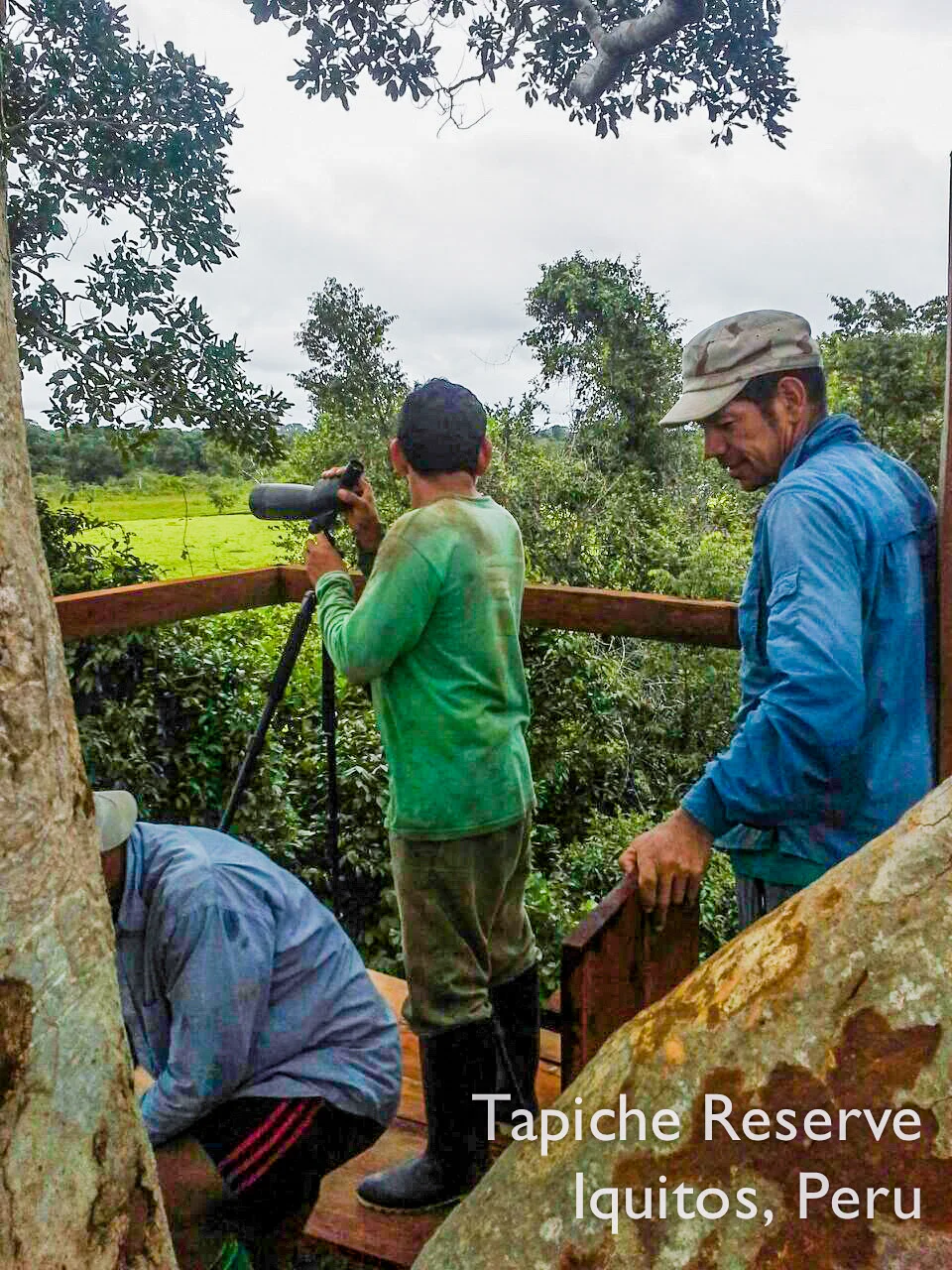Tapiche-Amazon-Jungle-Tour-Peru-canopy-observation-tower-8.jpg