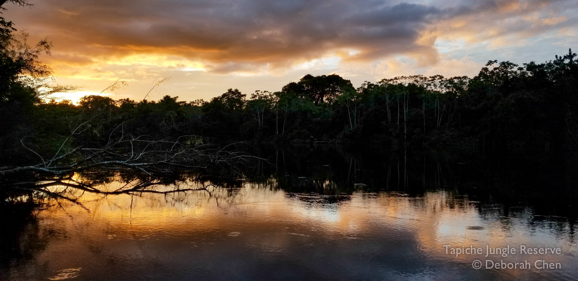  Sunset view from the Tapiche dock 