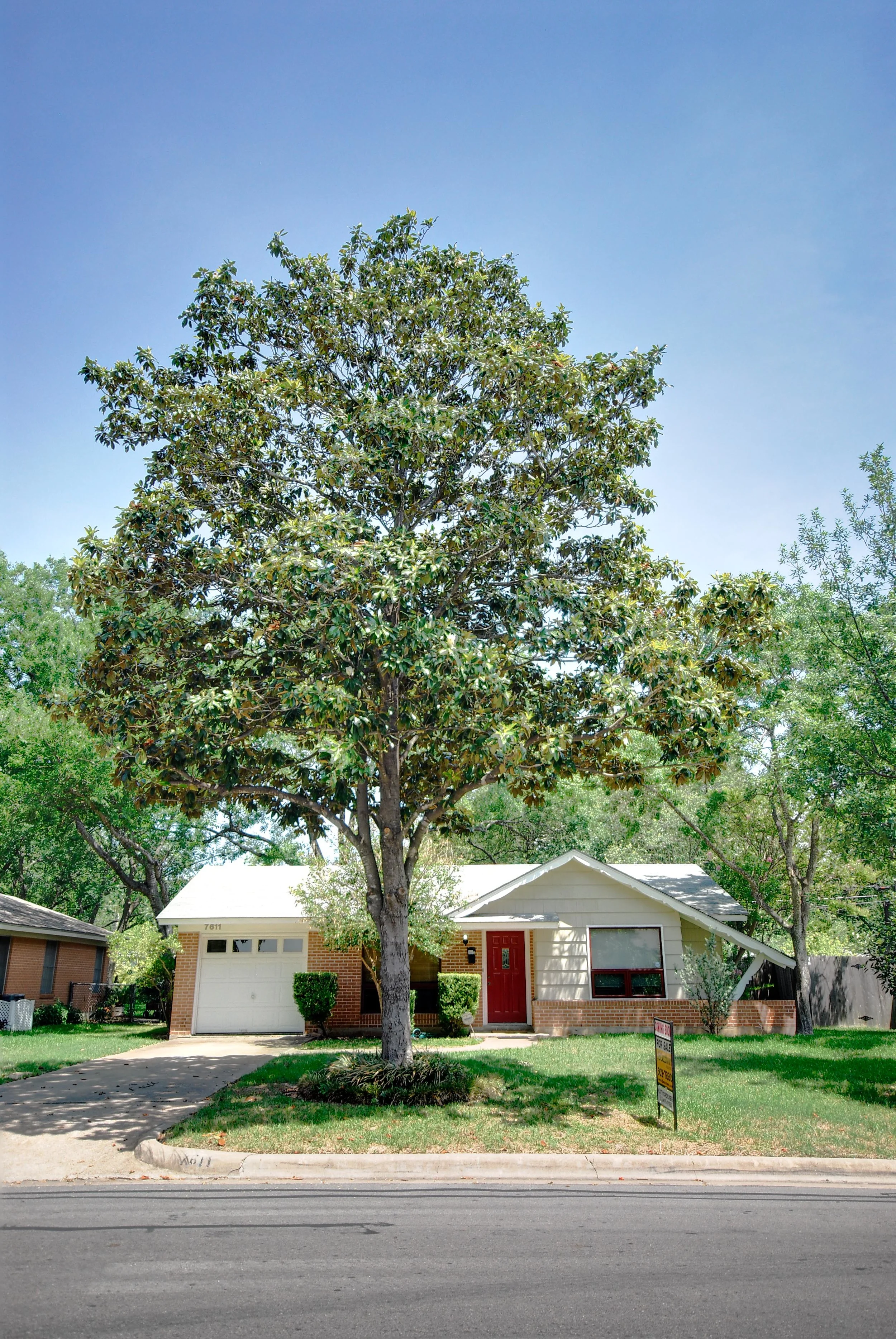 20110601-_WC10019_HDR.jpg