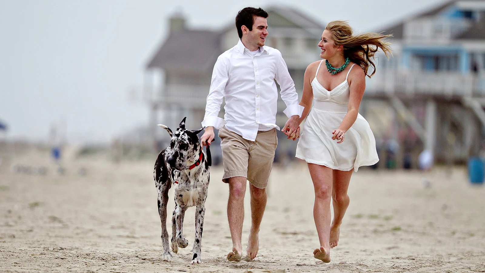 Engagement photo with dog at the beach