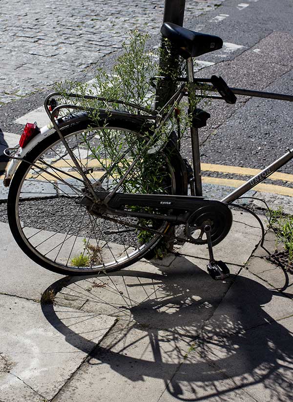 Any bike left on Columbia Road will eventually take root.