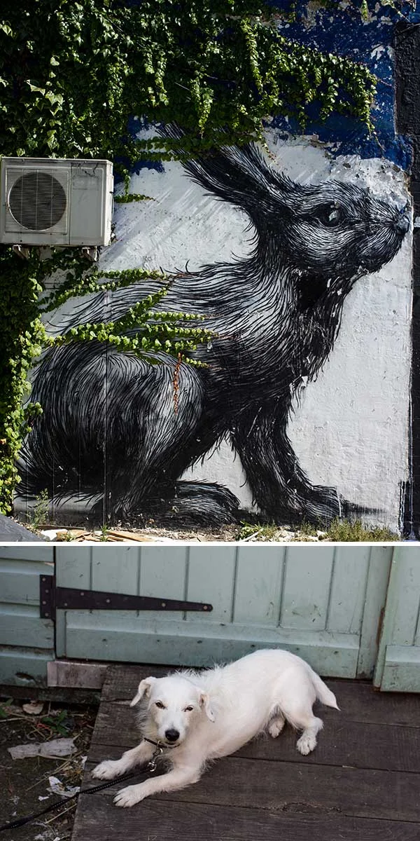 A rabbit and a pooch. Roa's awesome works can be found all over the East End, this one was actually saved from being painted over by the council and now the ivy is creeping over it's back.. love it.