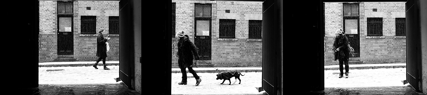Passing by on Ezra Street.