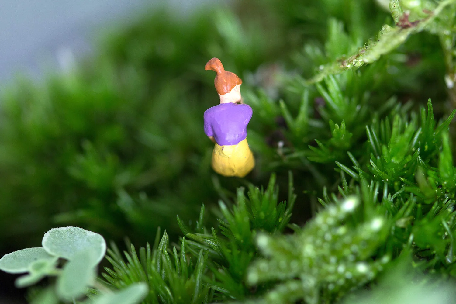 A Microworld by Ear Gardens