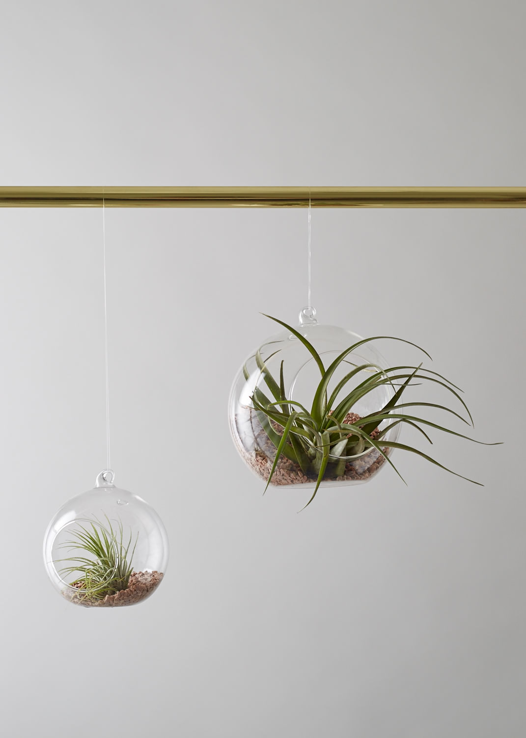 Geo Fleur