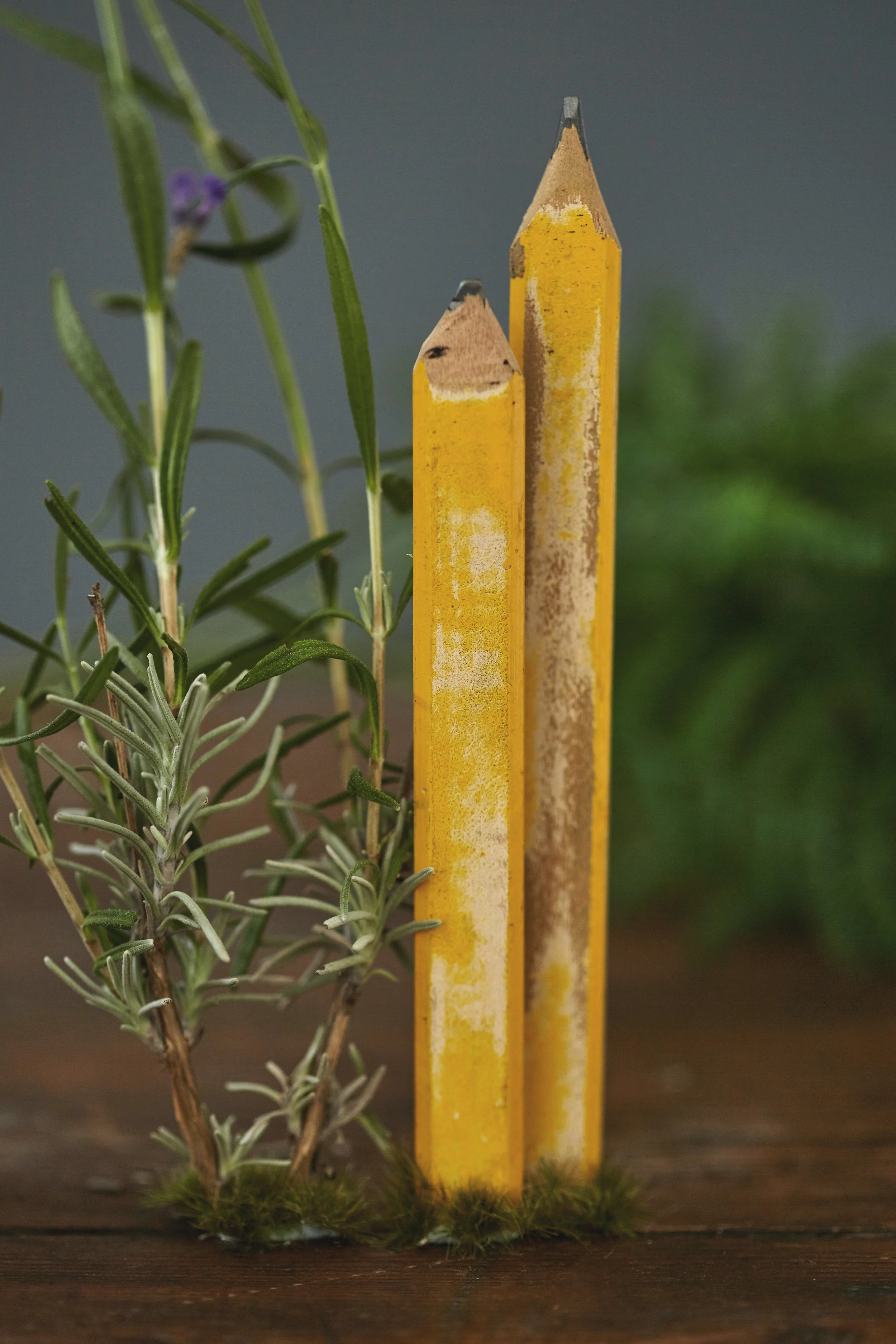 100 Makers / Wild&Wood