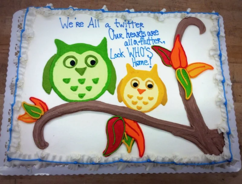 Sheet Cake with Two Owls on a Branch