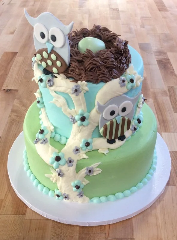 Party Cake with Fondant Owls