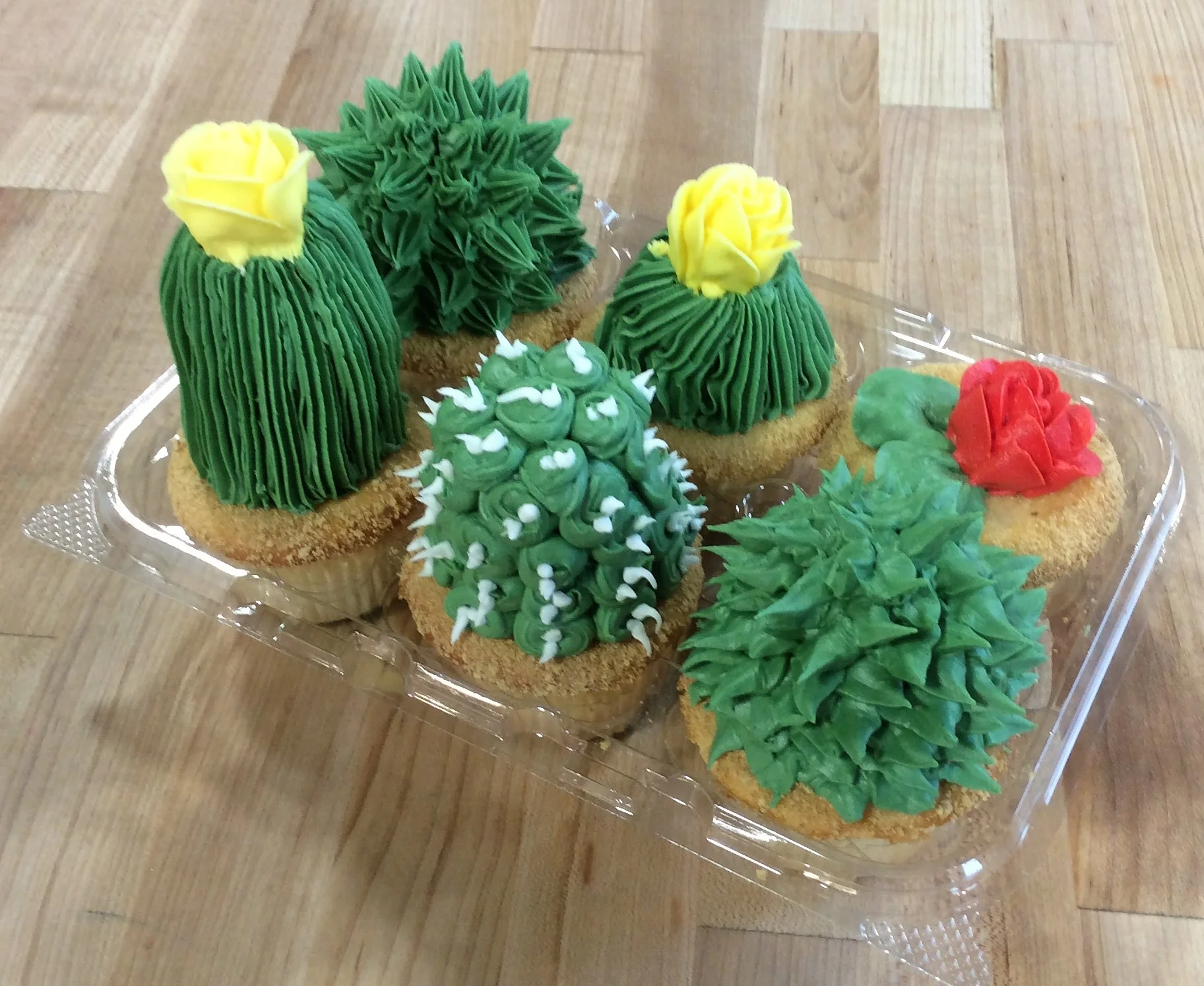 Cupcakes with Tall Cactus Decoration
