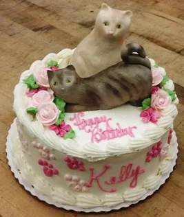 cats1.jpg