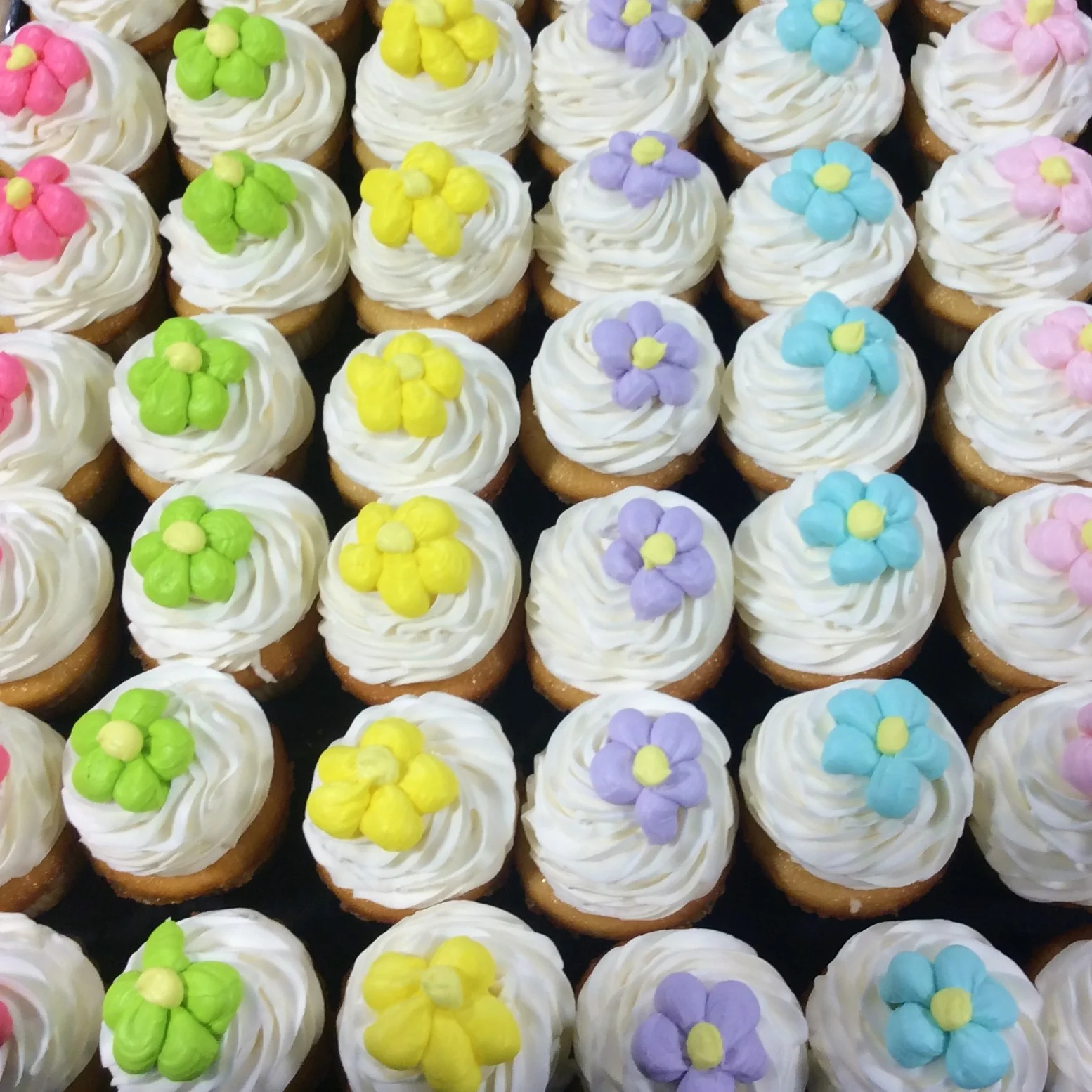Cupcakes with Puffy Daisies — Trefzger's Bakery
